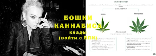 гидра Армянск
