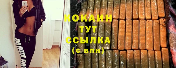 твердый Арсеньев