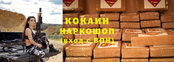 твердый Арсеньев