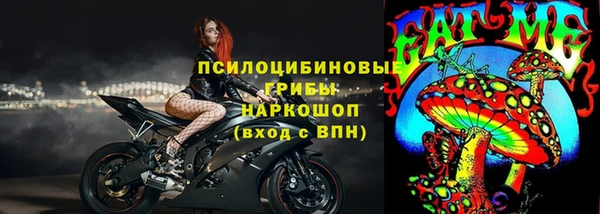 твердый Арсеньев