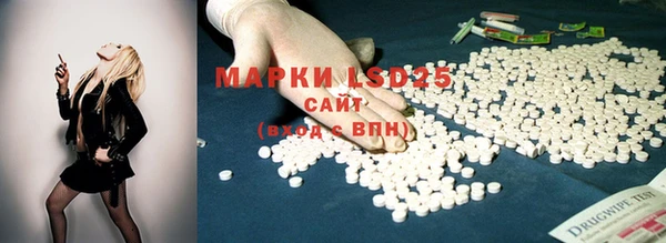 МДПВ Нея