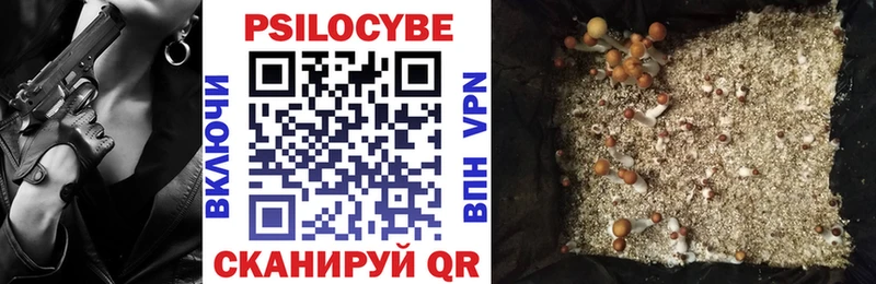Галлюциногенные грибы мицелий KRAKEN зеркало Оханск
